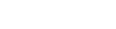 Lee's Chinese Martial Arts Federation